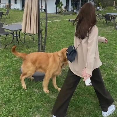 天若有情2