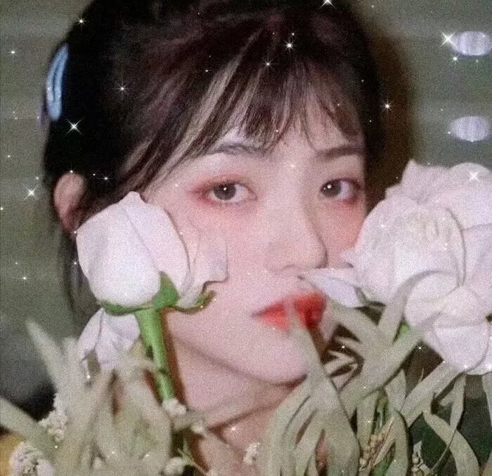 恋上女镖师